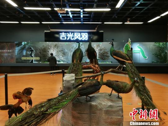 先有雞還是先有蛋？這個科普展覽有點&ldquo;不一般&rdquo;