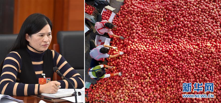 （兩會&middot;影像鏈接）全國人大代表曾云英：新型農業將迎來高質量發展的機遇