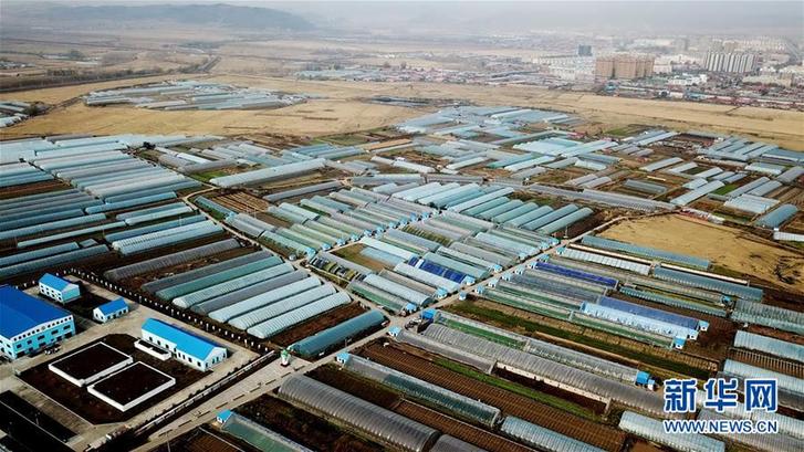 (在習(xí)近平新時(shí)代中國(guó)特色社會(huì)主義思想指引下——新時(shí)代新作為新篇章·鄉(xiāng)村振興戰(zhàn)略·圖文互動(dòng))(5)“十五連豐”譜新篇——端牢“中國(guó)飯碗”的龍江實(shí)踐