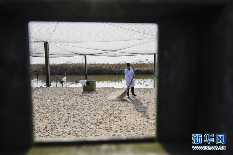 （兩會前夕看落實&middot;圖文互動）（3）綠色發展引領 守護&ldquo;魚米之鄉&rdquo;&mdash;&mdash;江蘇落實習近平總書記全國兩會重要講話精神紀實