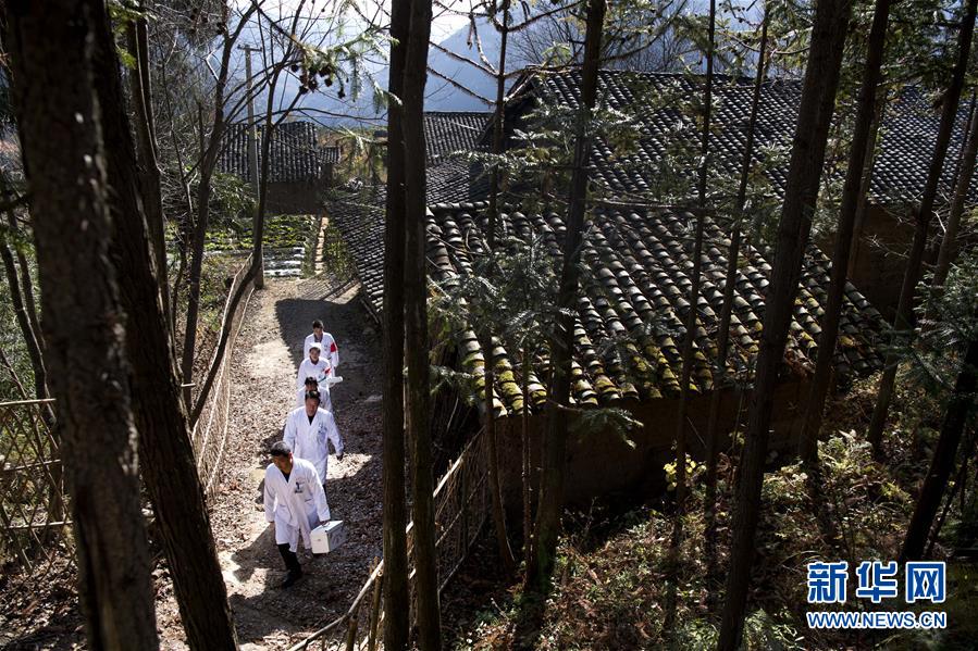 （新華全媒頭條&middot;圖文互動）（6）承諾有&ldquo;干貨&rdquo; 落實(shí)有&ldquo;硬招&rdquo;&mdash;&mdash;&ldquo;全國兩會部長通道&rdquo;上承諾踐行情況掃描