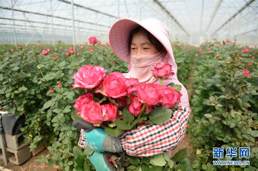 （在習(xí)近平新時(shí)代中國(guó)特色社會(huì)主義思想指引下&mdash;&mdash;新時(shí)代新作為新篇章&middot;圖文互動(dòng)）（1）紅土高原上掀起&ldquo;綠色旋風(fēng)&rdquo; 