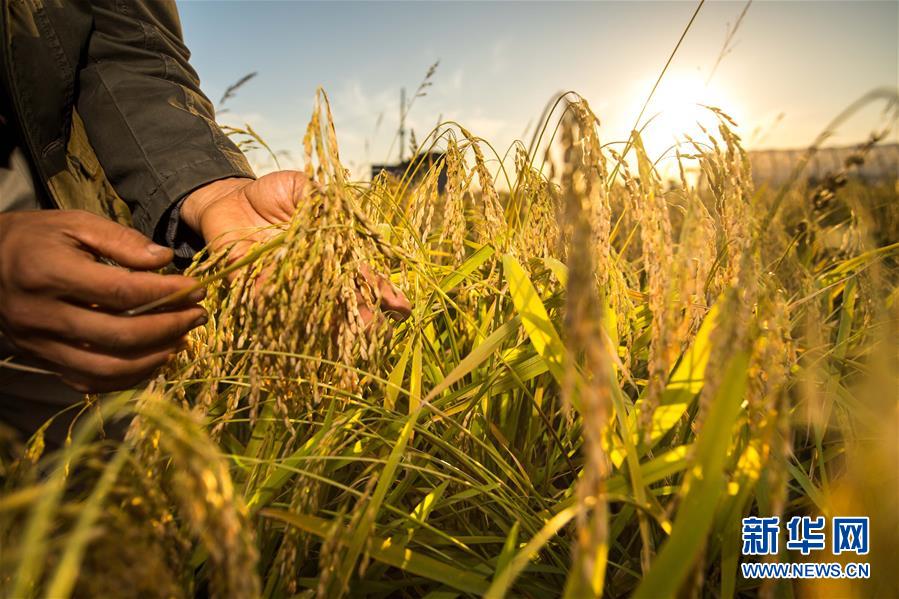 （新華全媒頭條&middot;迎接兩會特別報道&middot;圖文互動）（4）會當水擊三千里&mdash;&mdash;全國兩會前夕看中國信心
