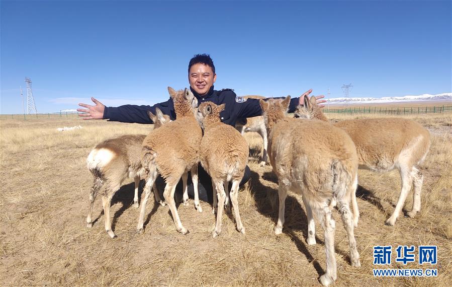 （愛國(guó)情 奮斗者）（1）藏族巡山隊(duì)員龍周才加：把青春留在可可西里