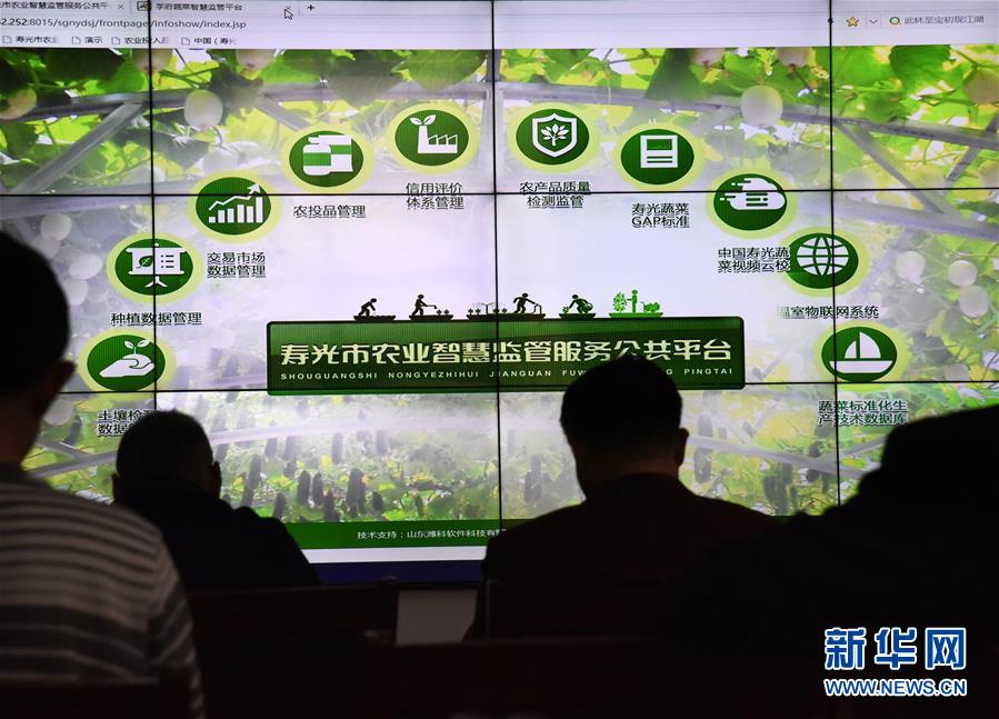 （壯麗70年&middot;奮斗新時(shí)代&middot;圖文互動(dòng)）（4）山東壽光：一棵&ldquo;菜&rdquo;興一座城 