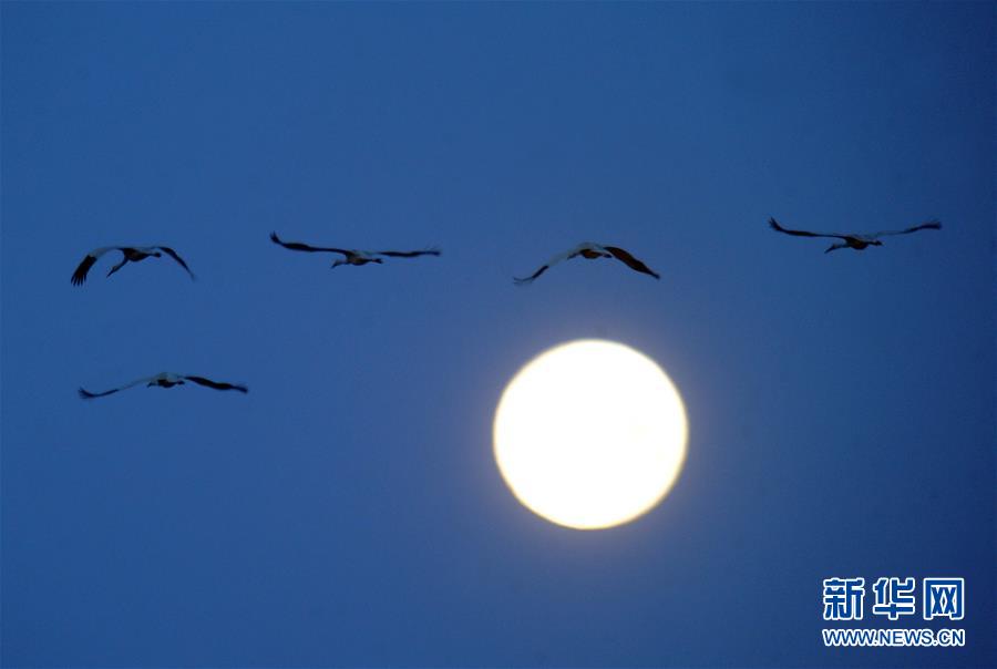 （北京世園會&middot;圖文互動）（1）吉林分區域推進生態保護 讓綠色發展底氣更足