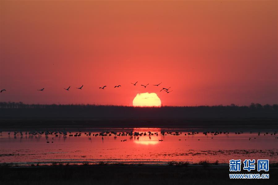 （北京世園會&middot;圖文互動）（3）吉林分區域推進生態保護 讓綠色發展底氣更足