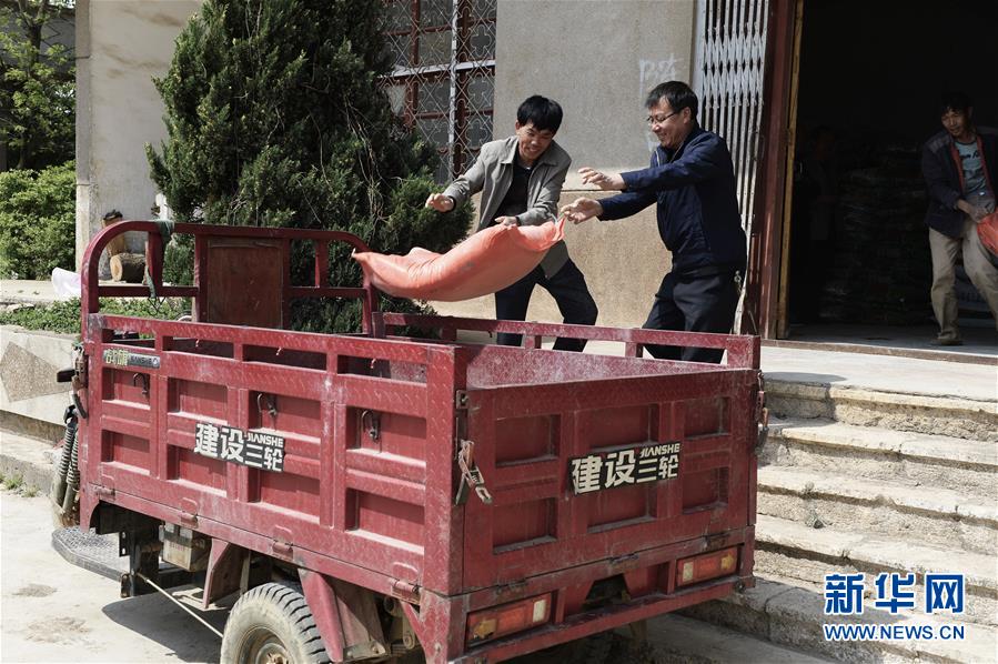 （在習(xí)近平新時代中國特色社會主義思想指引下&mdash;&mdash;新時代新作為新篇章&middot;圖文互動）（2）云南省陸良縣：農(nóng)民給供銷社打&ldquo;白條&rdquo; 