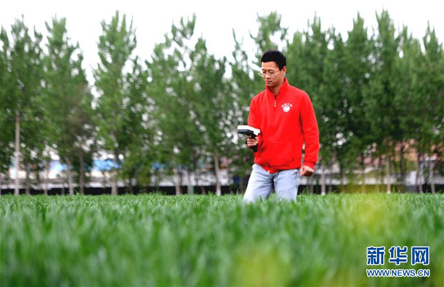 （新華全媒頭條&middot;愛國情 奮斗者&middot;圖文互動）（5）把論文寫在祖國的大地上&mdash;&mdash;中國農(nóng)業(yè)大學46年扎根河北曲周服務(wù)鄉(xiāng)村振興紀實
