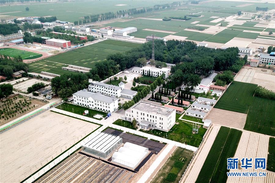 （新華全媒頭條&middot;愛國情 奮斗者&middot;圖文互動）（12）把論文寫在祖國的大地上&mdash;&mdash;中國農(nóng)業(yè)大學46年扎根河北曲周服務(wù)鄉(xiāng)村振興紀實