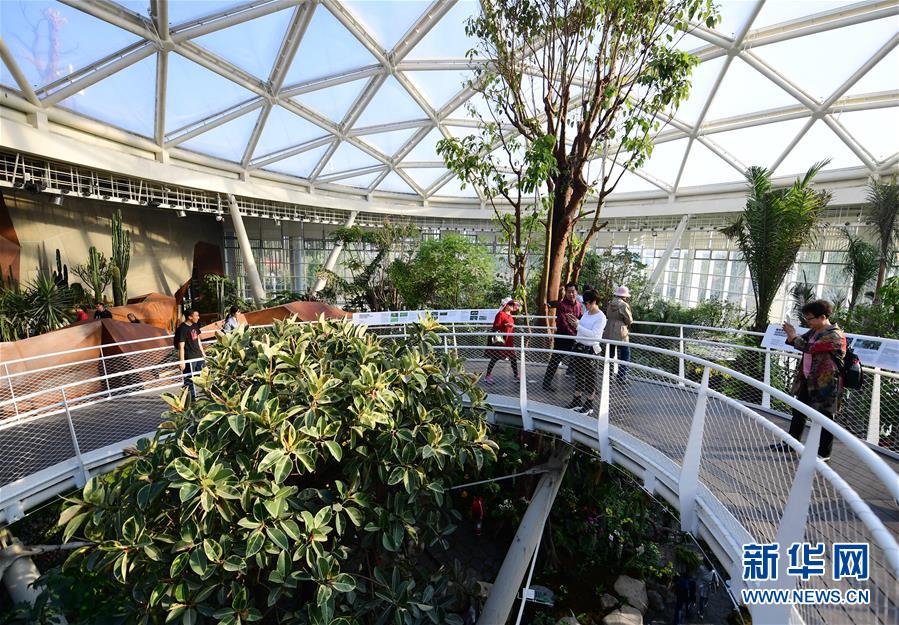 （在習近平新時代中國特色社會主義思想指引下&mdash;&mdash;新時代新作為新篇章&middot;圖文互動）（10）從世園會&ldquo;看&rdquo;中國綠色發展之路&mdash;&mdash;寫在北京世園會&ldquo;中國國家館日&rdquo;到來之際