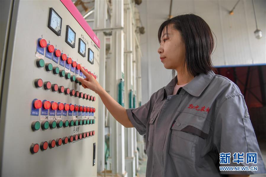 （在習近平新時代中國特色社會主義思想指引下&mdash;&mdash;新時代新作為新篇章&middot;圖文互動）（5）大學生種田讓農民&ldquo;老把式&rdquo;開了眼&mdash;&mdash;吉林長白山下的稻田新事