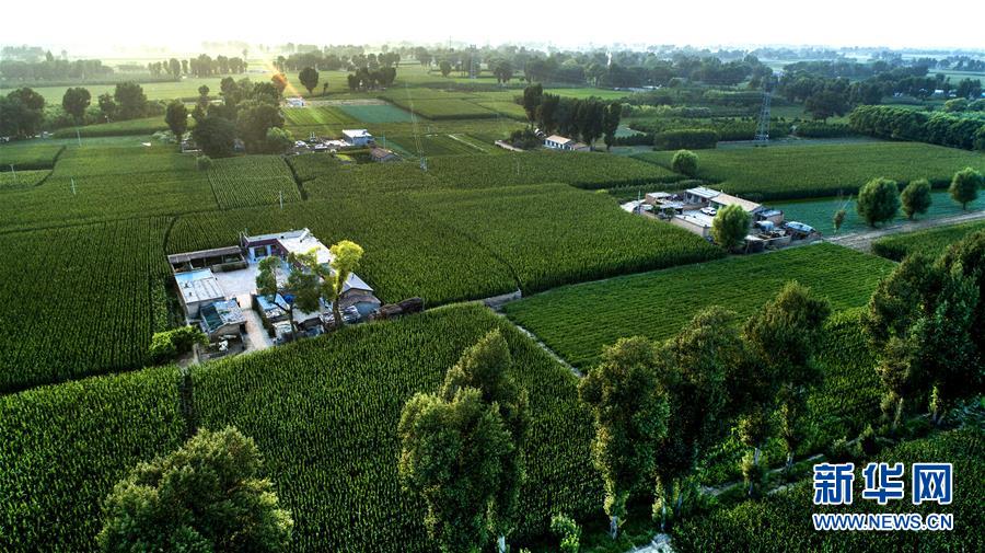 （權威訪談&middot;聚焦中國經濟亮點&middot;圖文互動）（2）防治土地荒漠化 推動綠色發展&mdash;&mdash;專訪國家林業和草原局副局長劉東生