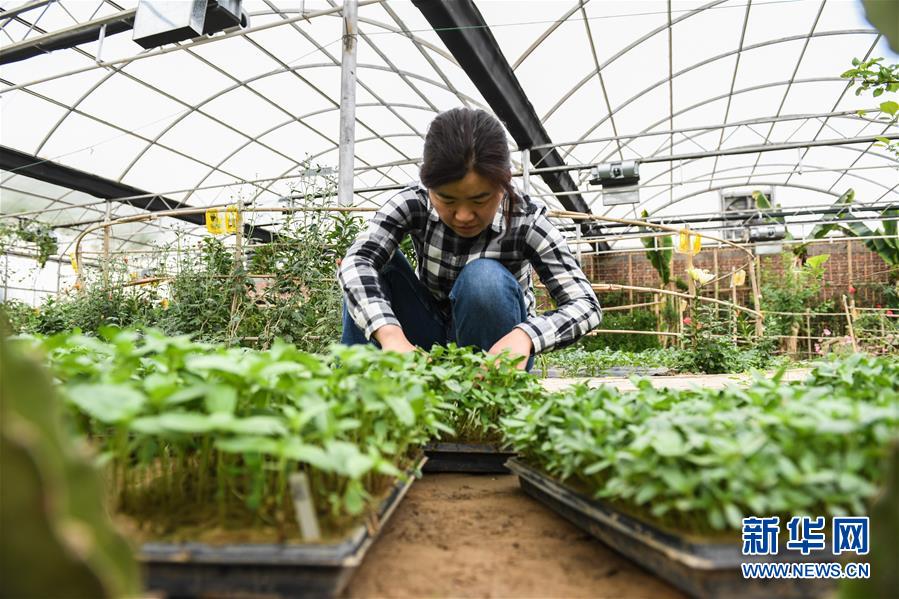（權威訪談&middot;聚焦中國經濟亮點&middot;圖文互動）（5）防治土地荒漠化 推動綠色發展&mdash;&mdash;專訪國家林業和草原局副局長劉東生