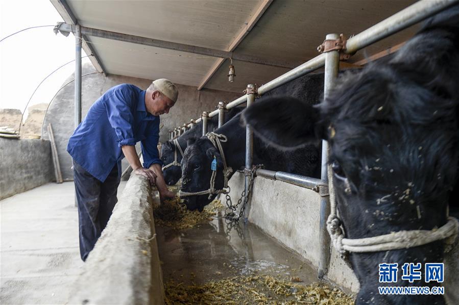 （新華全媒頭條&middot;壯麗70年&middot;奮斗新時代&middot;圖文互動）（10）中國減貧的西海固報告