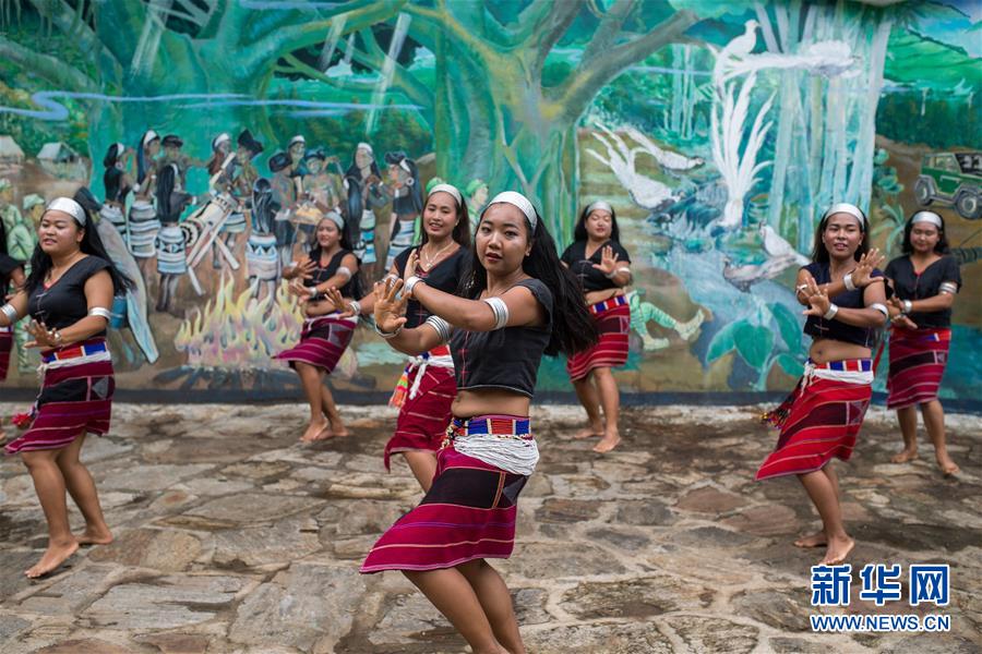 （直過(guò)民族脫貧攻堅(jiān)&middot;圖文互動(dòng)）（2）又見(jiàn)白鷴鳥(niǎo)