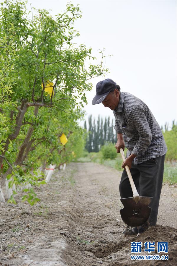 （圖文互動）（1）吐木爾家最后一個(gè)農(nóng)民