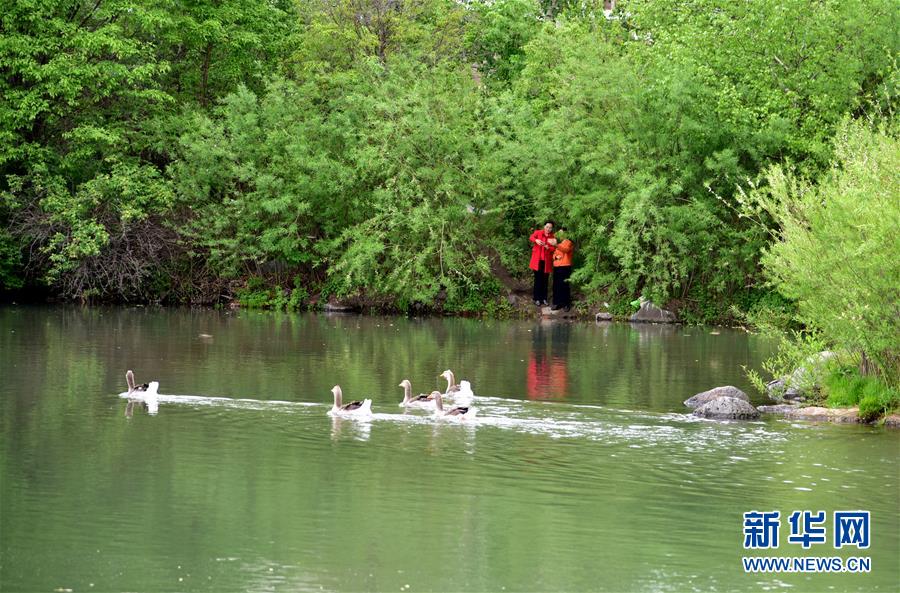 （在習(xí)近平新時(shí)代中國(guó)特色社會(huì)主義思想指引下&mdash;&mdash;新時(shí)代新作為新篇章&middot;圖文互動(dòng)）（4）在這里，遇見&ldquo;詩(shī)和遠(yuǎn)方&rdquo;&mdash;&mdash;長(zhǎng)白山下&ldquo;第一鎮(zhèn)&rdquo;的全域旅游實(shí)踐