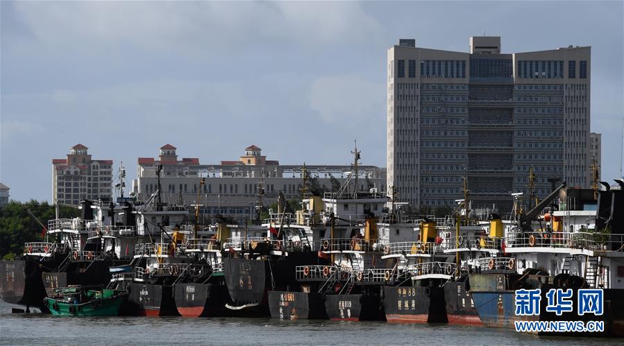 （社會）（1）?？冢捍盎馗郾芘_風(fēng)