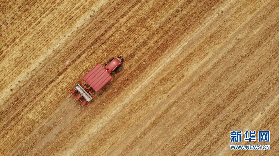 （新華全媒頭條&middot;圖文互動）（7）一個傳統農業縣的脫貧之路&mdash;&mdash;來自河北新河的調查報告