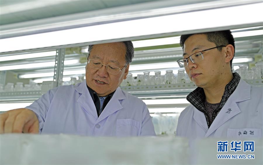 （新華全媒頭條&middot;圖文互動）（2）和蔬菜&ldquo;說話&rdquo;的人&mdash;&mdash;中國工程院院士李天來的&ldquo;棚菜人生&rdquo;