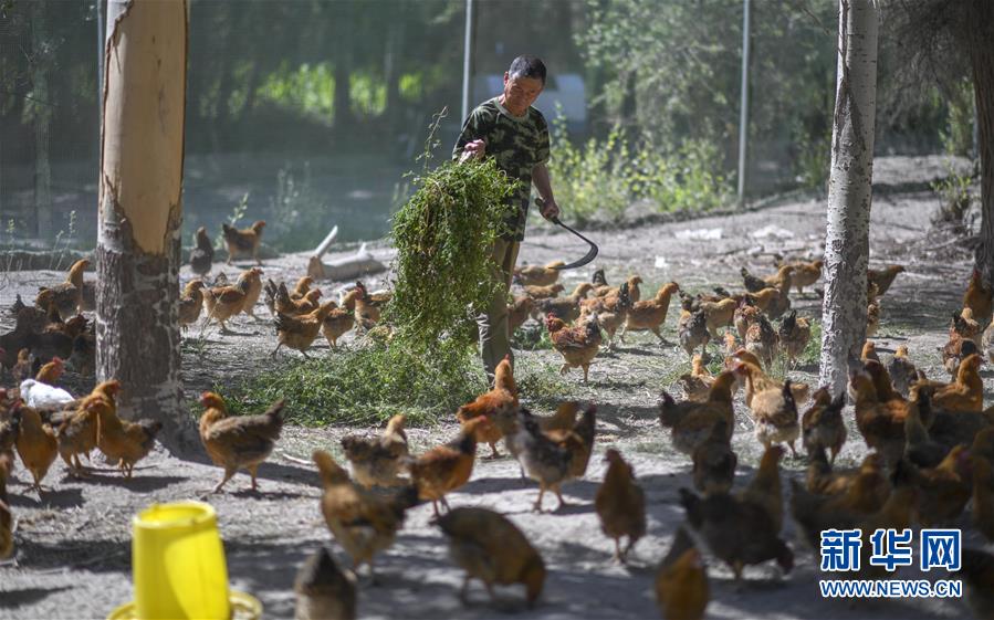 （新華全媒頭條&middot;圖文互動）（6）同心援疆，&ldquo;壯闊&rdquo;祖國西北角