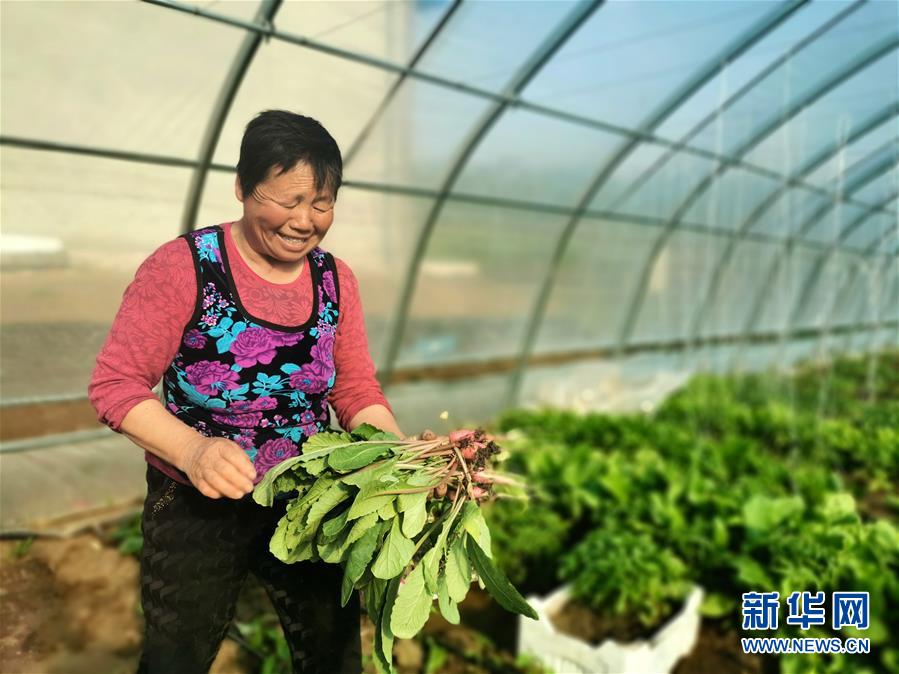 （圖文互動）（3）（在習(xí)近平新時代中國特色社會主義思想指引下&mdash;&mdash;新時代新作為新篇章）&ldquo;團結(jié)&rdquo;振興團結(jié)村&mdash;&mdash;黑龍江拜泉縣團結(jié)村凝聚民心攻堅脫貧