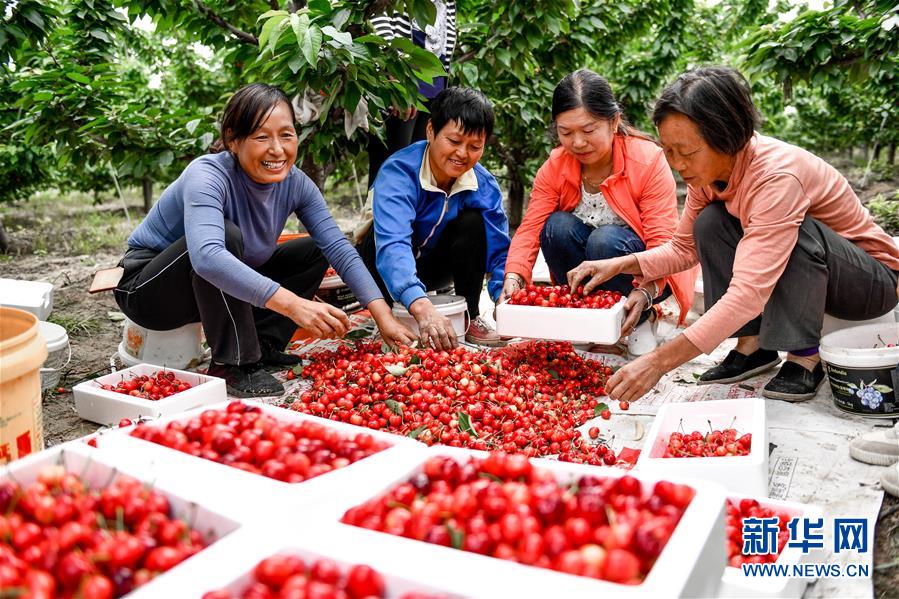 （在習近平新時代中國特色社會主義思想指引下&mdash;&mdash;新時代新作為新篇章&middot;圖文互動）（2）中條山下綠意濃&mdash;&mdash;一個&ldquo;資源窮縣&rdquo;的生態(tài)發(fā)展之路
