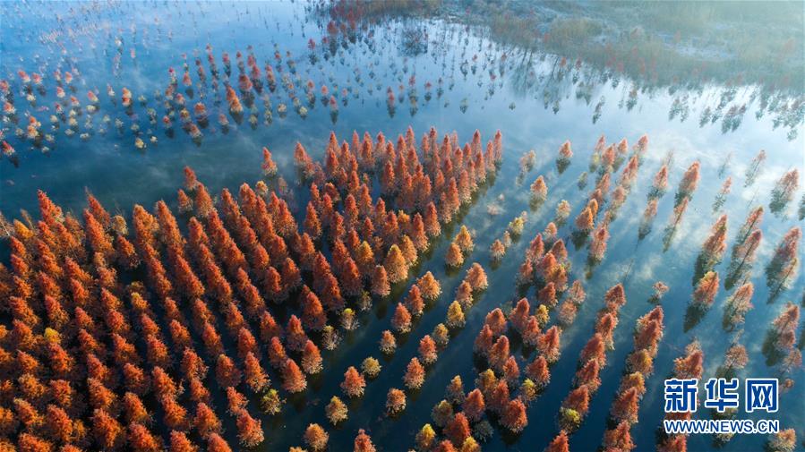 （壯麗70年&middot;奮斗新時代&mdash;&mdash;共和國發展成就巡禮）（4）云嶺彩卷繪 高原氣象新&mdash;&mdash;新中國成立70年云南發展巡禮