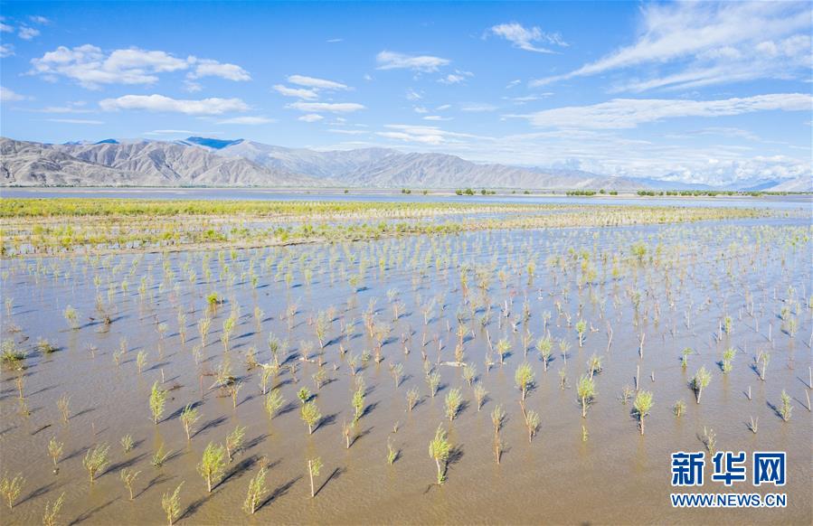 （壯麗70年&middot;奮斗新時代&mdash;&mdash;共和國發展成就巡禮&middot;圖文互動）（9）人間奇跡在高原&mdash;&mdash;新中國成立70年西藏發展成就紀實