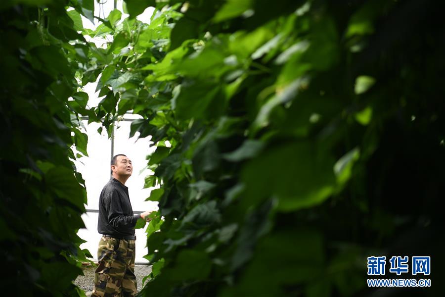 （壯麗70年&middot;奮斗新時代&mdash;&mdash;共和國發展成就巡禮&middot;圖文互動）（7）以&ldquo;綠色&rdquo;身姿站上發展前沿&mdash;&mdash;甘肅綠色轉型發展紀實