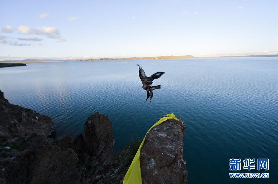 （今日關(guān)注&middot;第一屆國(guó)家公園論壇&middot;圖文互動(dòng)）（2）首個(gè)國(guó)家公園什么樣？專(zhuān)家?guī)阆?ldquo;睹&rdquo;為快