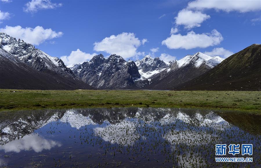 (今日關注·第一屆國家公園論壇·圖文互動)(6)首個國家公園什么樣?專家帶你先“睹”為快