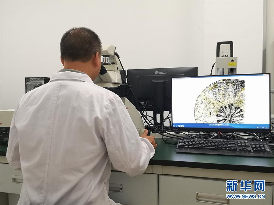 （新華調(diào)查&middot;新中國考古重大發(fā)現(xiàn)&middot;圖文互動）（5）?；韬睿翰粌H僅是&ldquo;黃金大墓&rdquo;