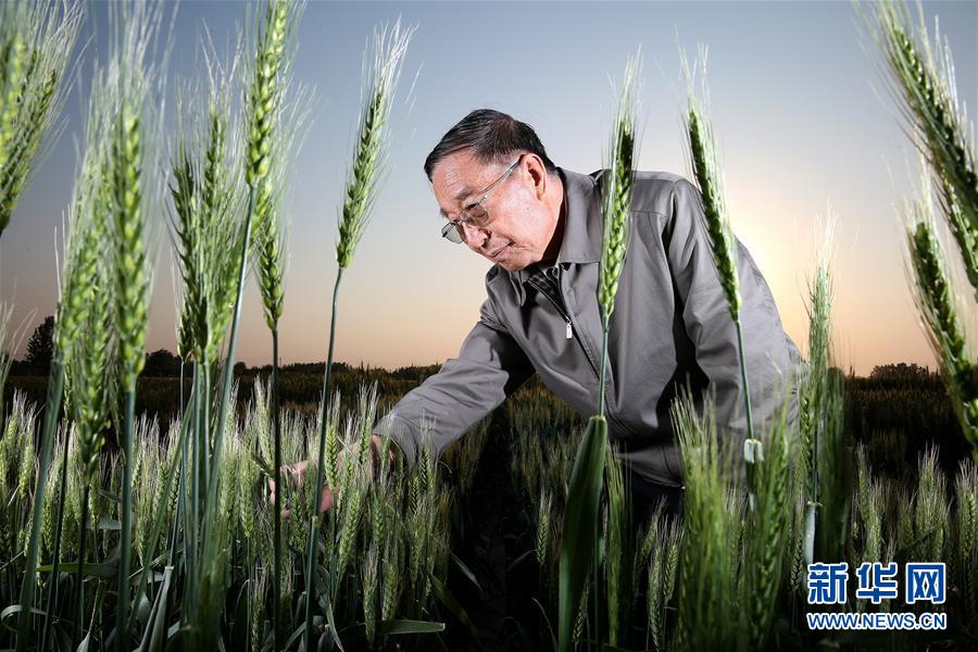 （&ldquo;中國面貌&rdquo;系列述評&middot;圖文互動）（4）創(chuàng)新中國&mdash;&mdash;70年中國面貌變遷述評之二