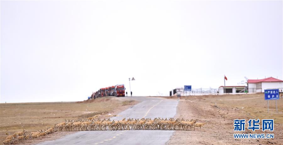 （新華全媒頭條&middot;圖文互動(dòng)）（4）確保&ldquo;中華水塔&rdquo;碧水東流&mdash;&mdash;中國(guó)三江源生態(tài)保護(hù)報(bào)告