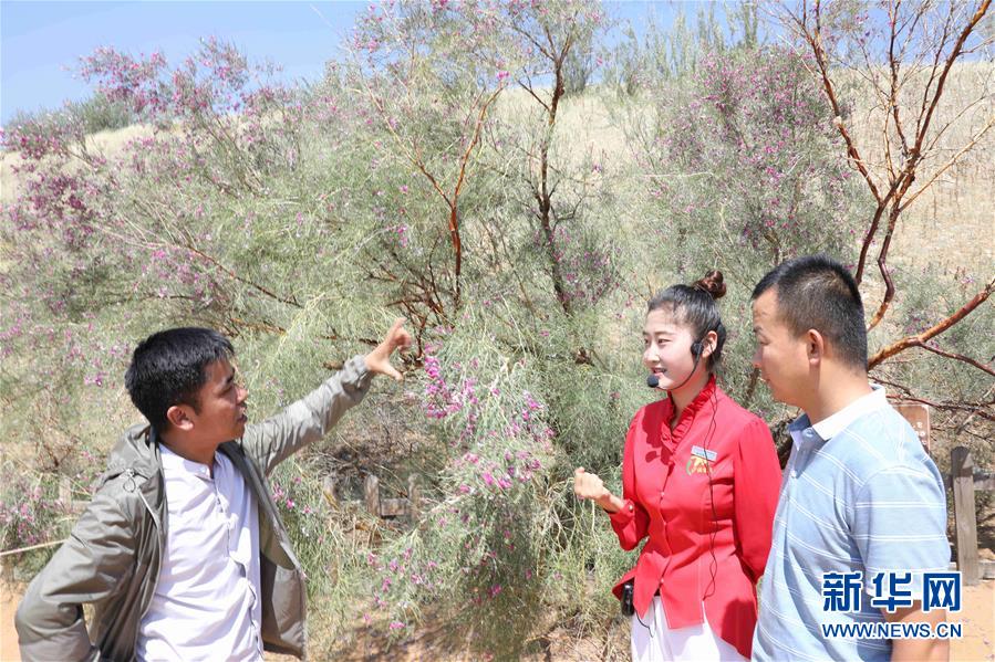 (走讀黃河·圖文互動)(2)中衛:33萬畝沙區變灌區