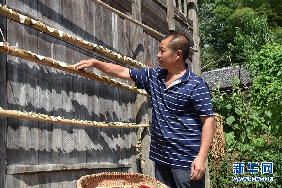 (愛國情 奮斗者·圖文互動)(2)貴州印江高石坎護林隊:半輩子,以林場為家