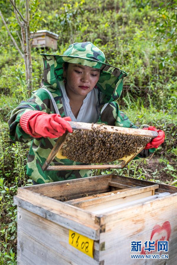 (圖文互動)(7)太陽照耀“人類童年”——新時代直過民族脫貧攻堅紀(jì)事