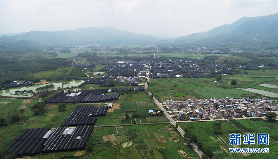 （在習近平新時代中國特色社會主義思想指引下&mdash;&mdash;新時代新作為新篇章&middot;總書記關心的百姓身邊事&middot;圖文互動）（1）&ldquo;科技秀才&rdquo;給田野帶來新希望