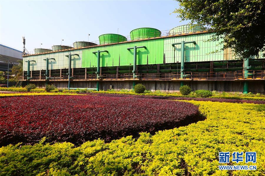 （新華全媒頭條&middot;四中全會精神在基層&middot;圖文互動）（4）&ldquo;活優富美&rdquo;&mdash;&mdash;八閩大地感受&ldquo;中國之治&rdquo;的生動樣本