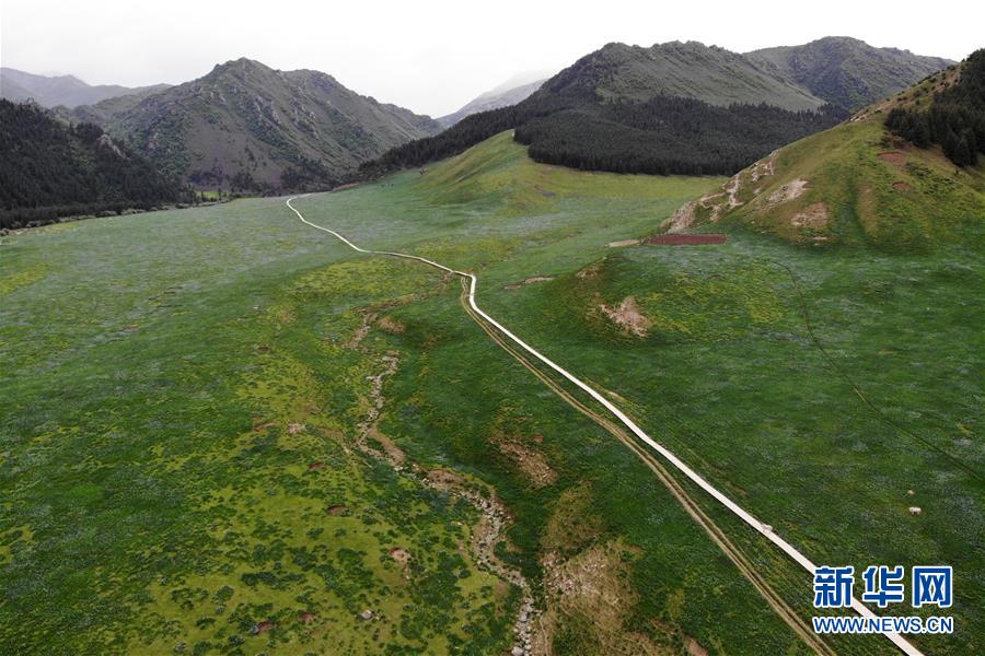 （新華全媒頭條&middot;圖文互動）（10）綠色的啟示&mdash;&mdash;西部地區生態問題典型個案再調查