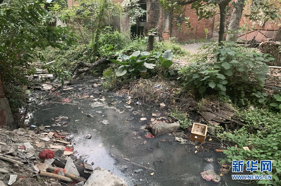 （圖文互動）（1）河長職責(zé)寫得明明白白，條條舉措無一落實&mdash;&mdash;國務(wù)院檢查組暗訪核查佛山一農(nóng)村河涌黑臭十余年無人管理