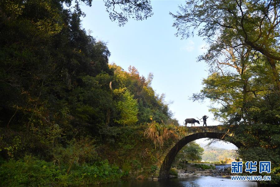 （圖文互動(dòng)）（3）鄉(xiāng)村攝影師、鄉(xiāng)村&ldquo;模特&rdquo;、民宿店主&mdash;&mdash;鄉(xiāng)村旅游推動(dòng)婺源農(nóng)民生活方式發(fā)生新變化
