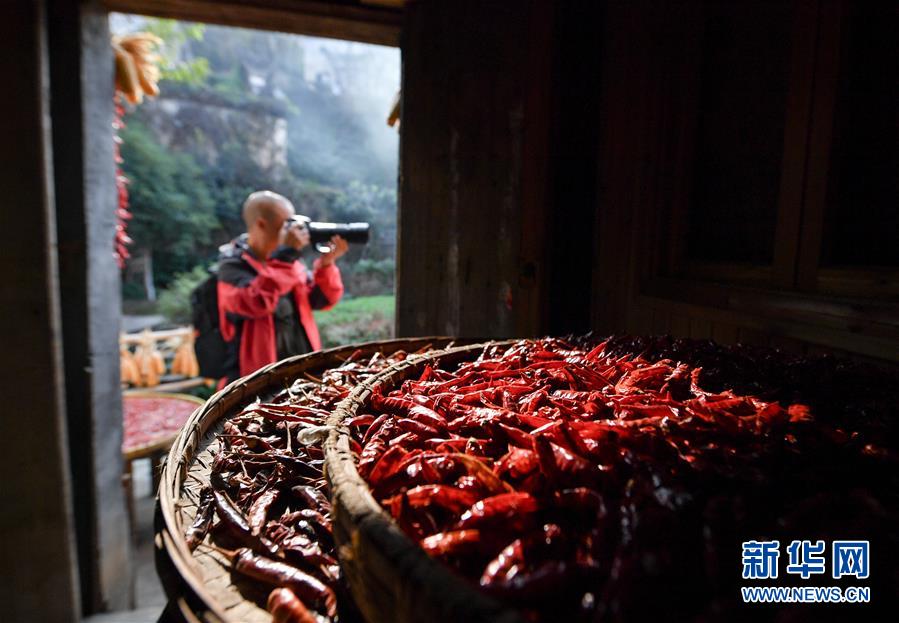 （圖文互動(dòng)）（6）鄉(xiāng)村攝影師、鄉(xiāng)村&ldquo;模特&rdquo;、民宿店主&mdash;&mdash;鄉(xiāng)村旅游推動(dòng)婺源農(nóng)民生活方式發(fā)生新變化