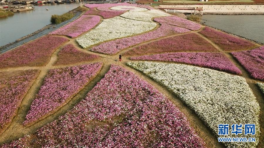 （新華全媒頭條&middot;圖文互動）（5）大湖見證&mdash;&mdash;長三角三大淡水湖綠色發展之路