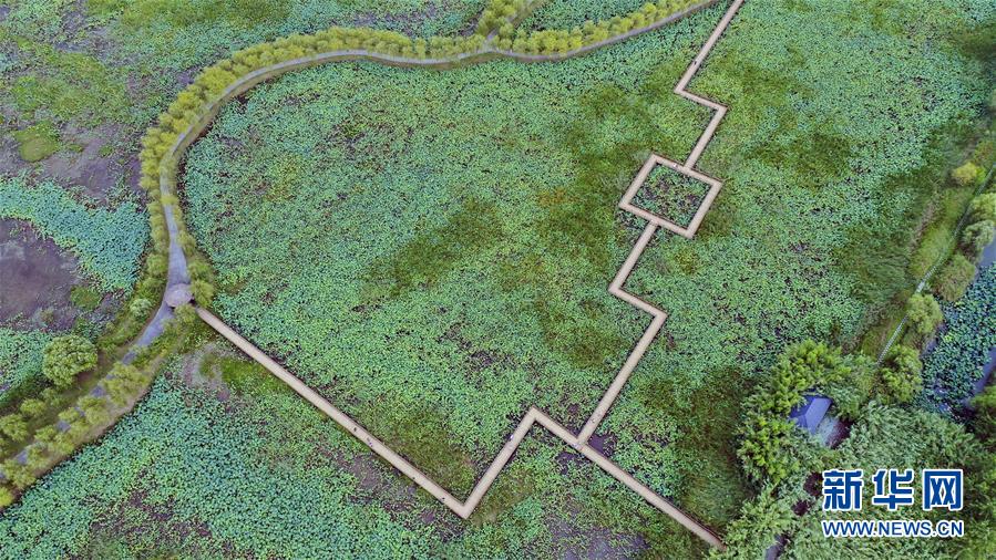 （新華全媒頭條&middot;圖文互動）（9）大湖見證&mdash;&mdash;長三角三大淡水湖綠色發展之路