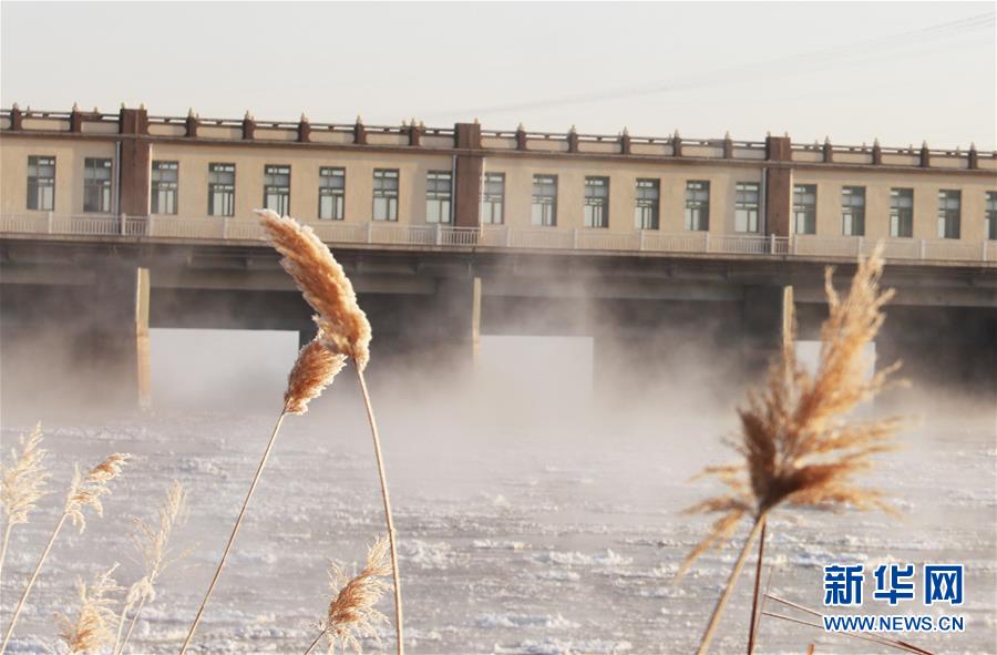 （環境）（4）黃河三盛公水利樞紐庫區出現&ldquo;水煮黃河&rdquo;景觀