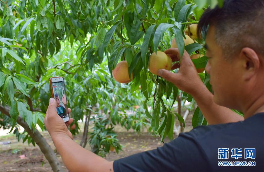 （在習近平新時代中國特色社會主義思想指引下&mdash;&mdash;新時代新作為新篇章&middot;總書記關切脫貧事&middot;決勝貧困&middot;圖文互動）（6）讓一方水土&ldquo;富養&rdquo;一方人&mdash;&mdash;扶貧特色產業惠及千家萬戶