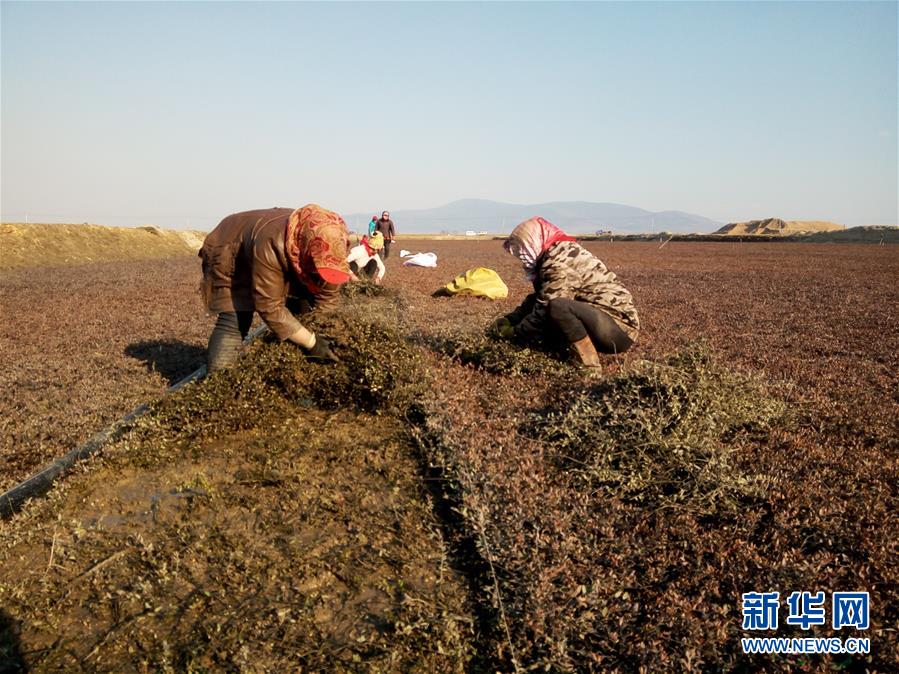 （圖文互動）（8）從&ldquo;輕工漁網重工馬掌&rdquo;到&ldquo;圓夢小康&rdquo;&mdash;&mdash;&ldquo;中國東極&rdquo;脫貧攻堅剪影